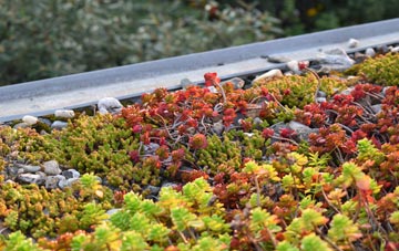 the cost of West Wemyss green roof installation