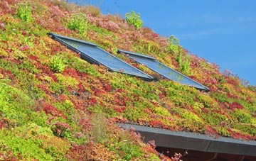 West Wemyss living roof systems