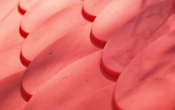 West Wemyss plastic roof costs